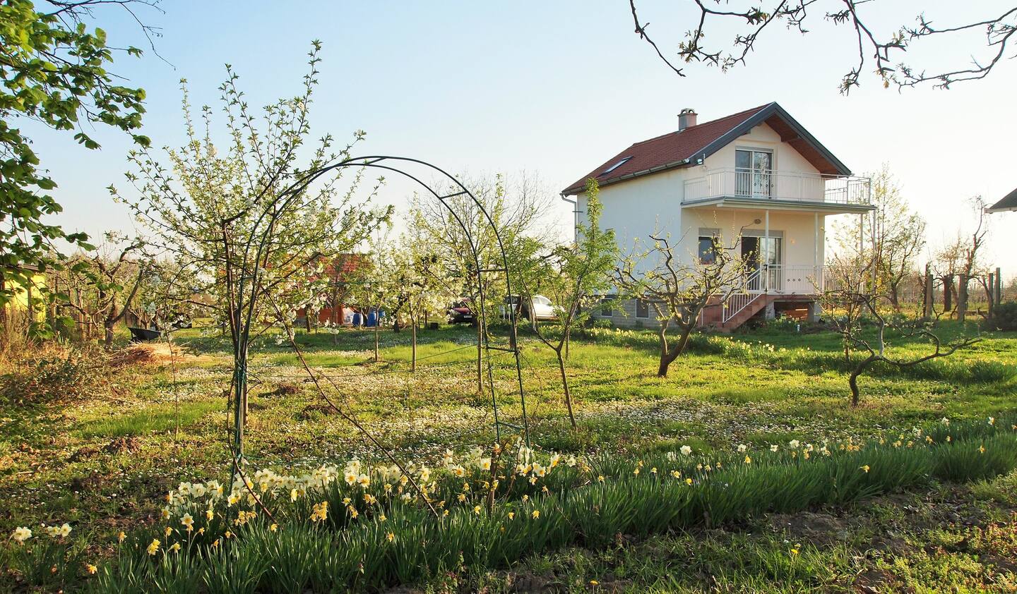 Na visoravni iznad rijeke Dunav pronašao se savršeni djelić prirode koji će probuditi Vaša osjetila - ruralna kuća za odmor "Veranda"