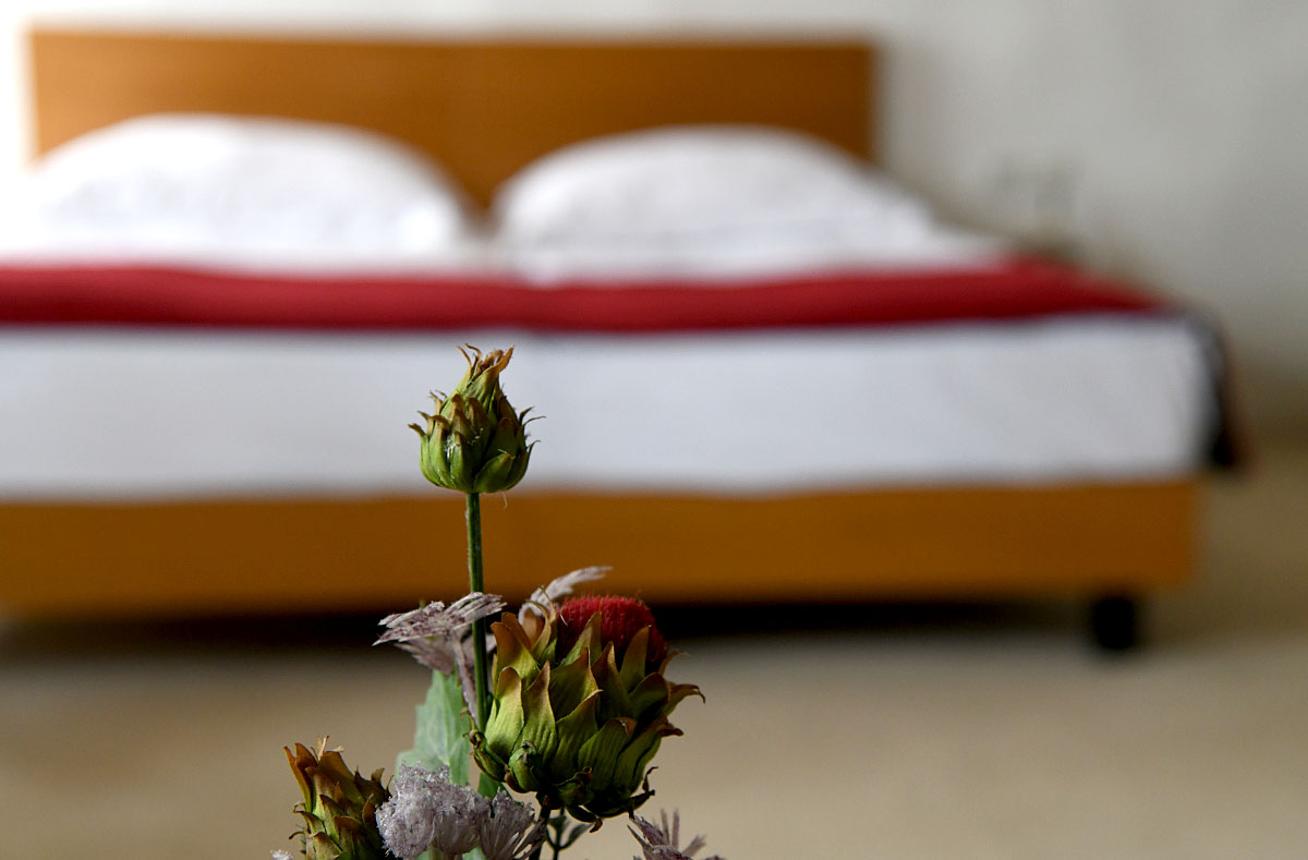Hotel La Grisa nudi "Istru u malom": od smještaja preko enogastro užitka