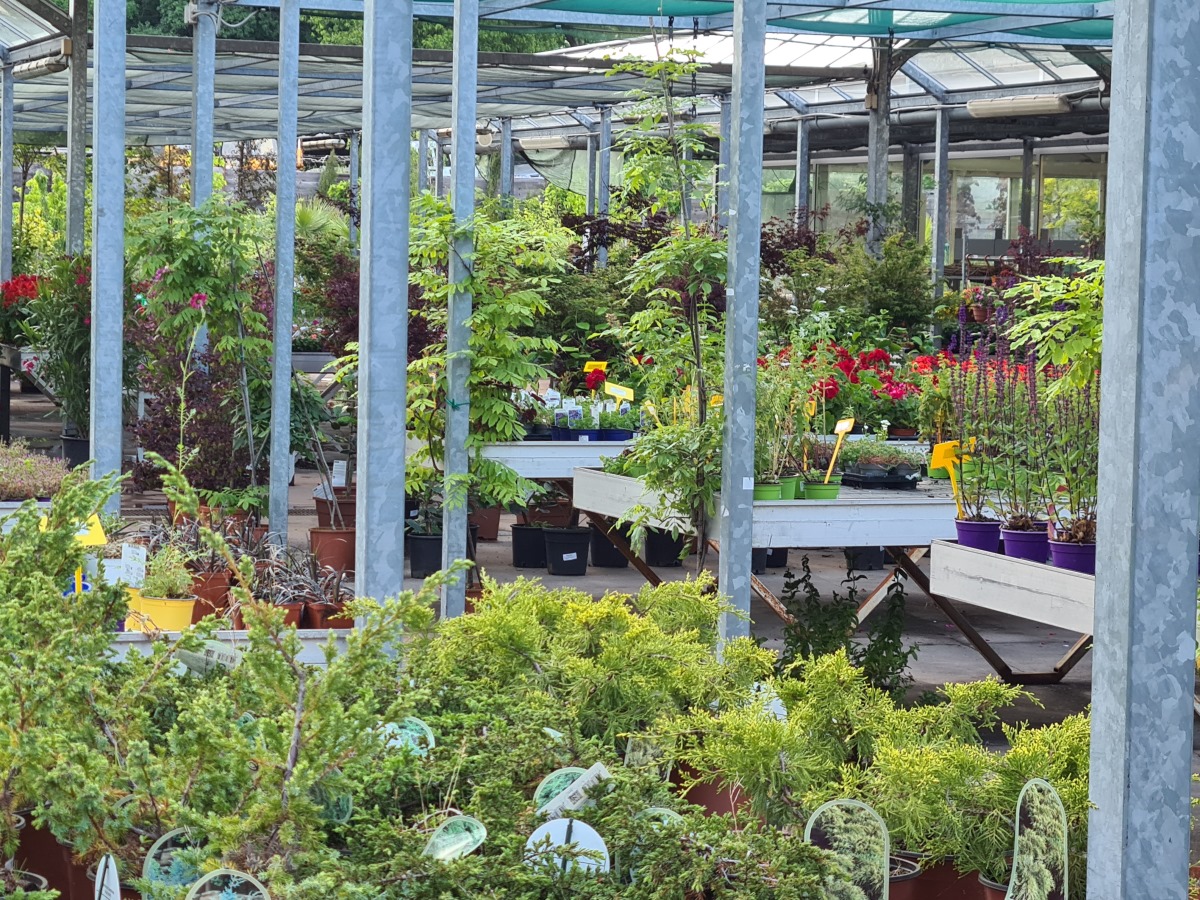 Vrtni centar Sidera nudi sve za uređenje vašeg životnog prostora, kao i odlične popuste!