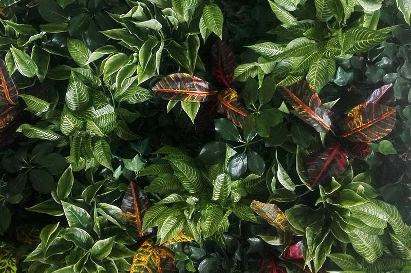 Efektan zeleni zid i šareni cvjetni aranžmani Vrtnog Centra Viškovo