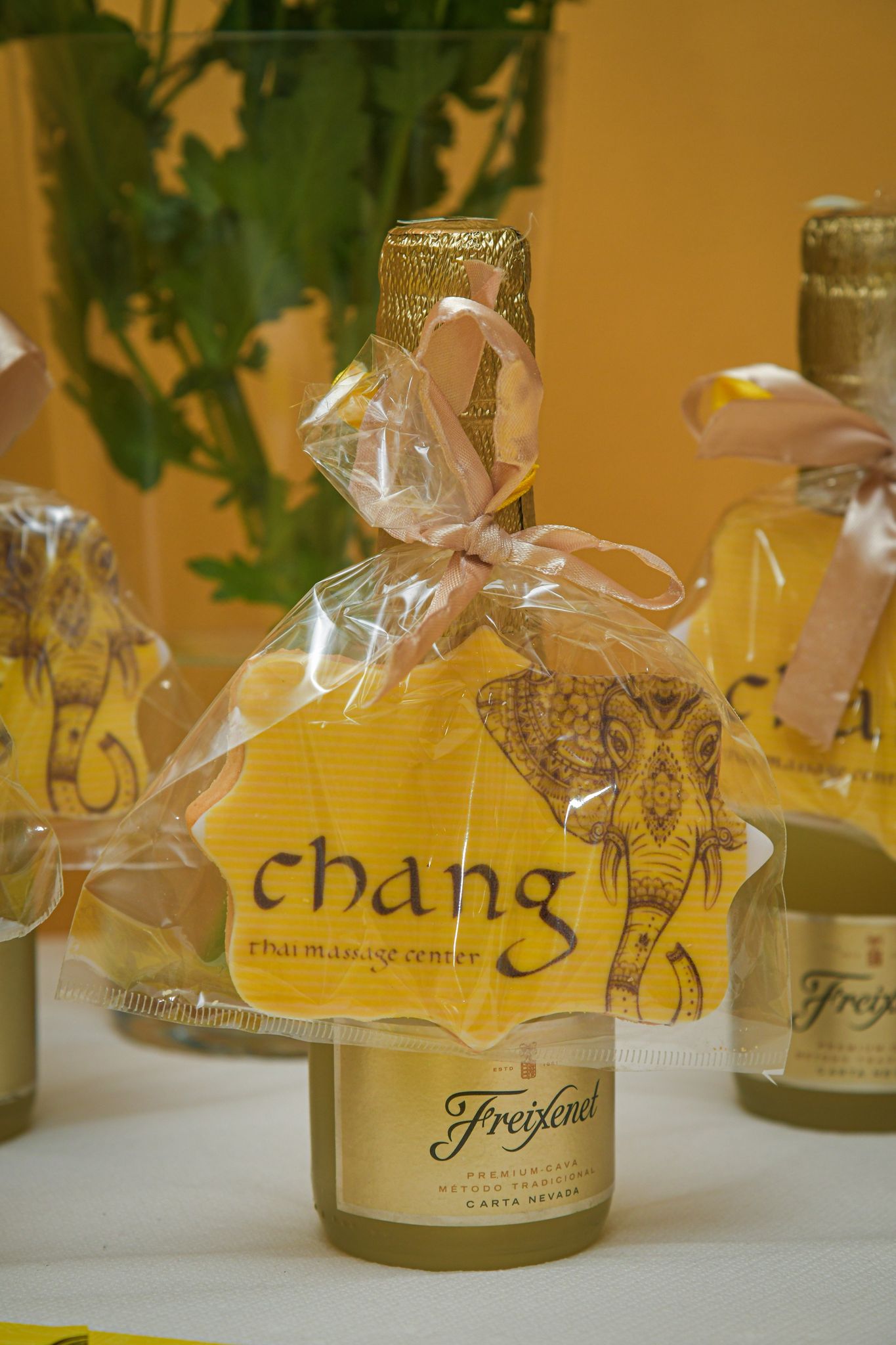 Chang Thai proslavio četvrti rođendan u društvu poznatih Riječanki