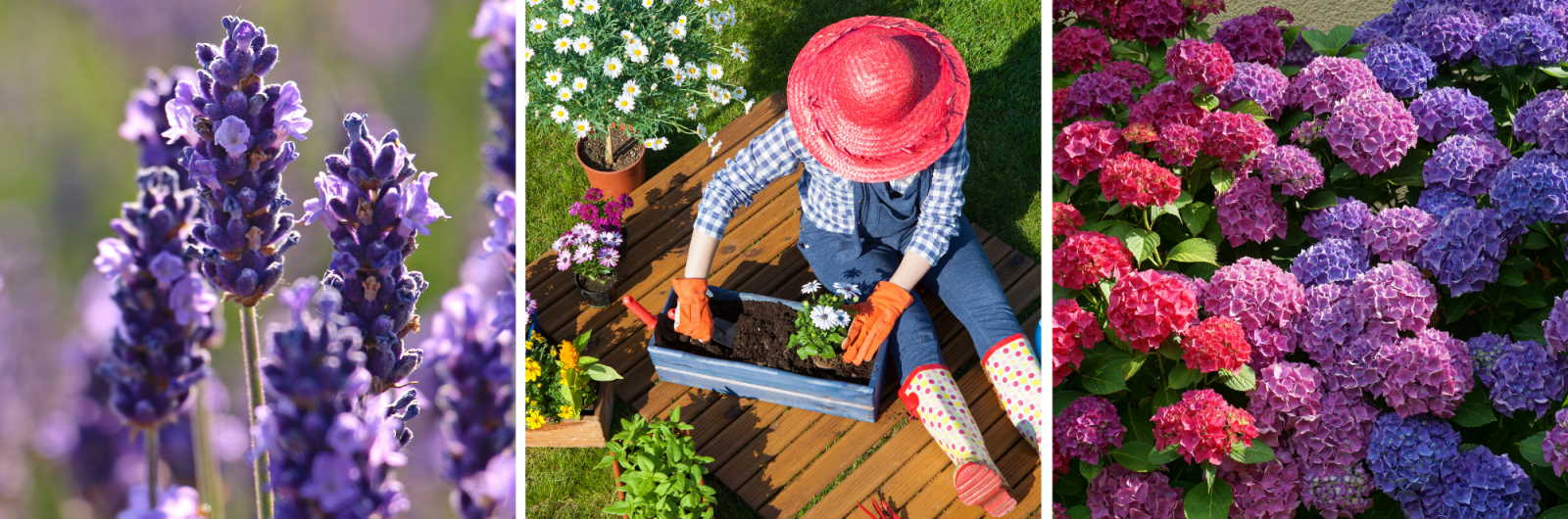 Uredite svoj vrt i balkon uz Vrtni centar Viškovo