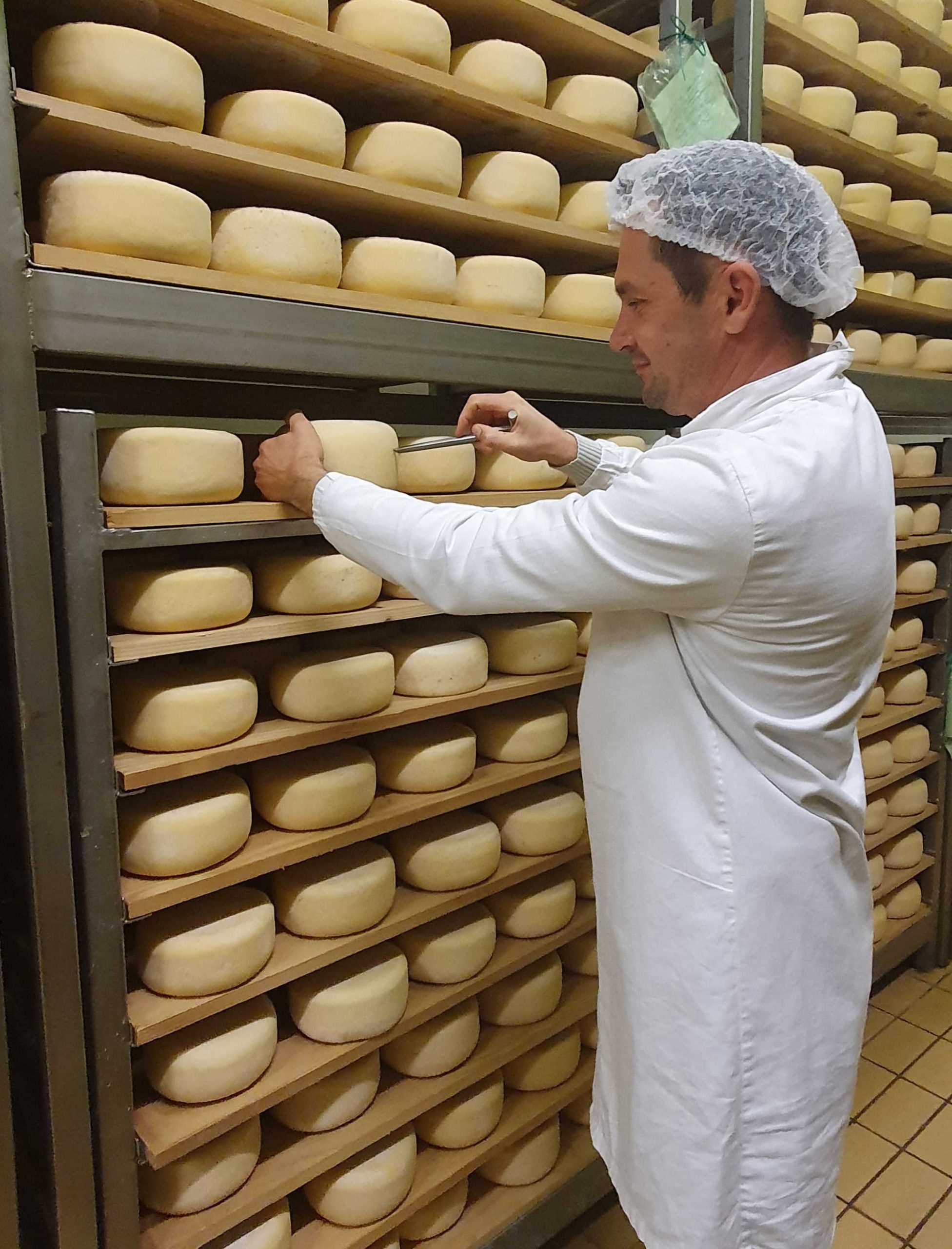 Istarski sir Špin je najbolji tvrdi ovčji sir na svijetu