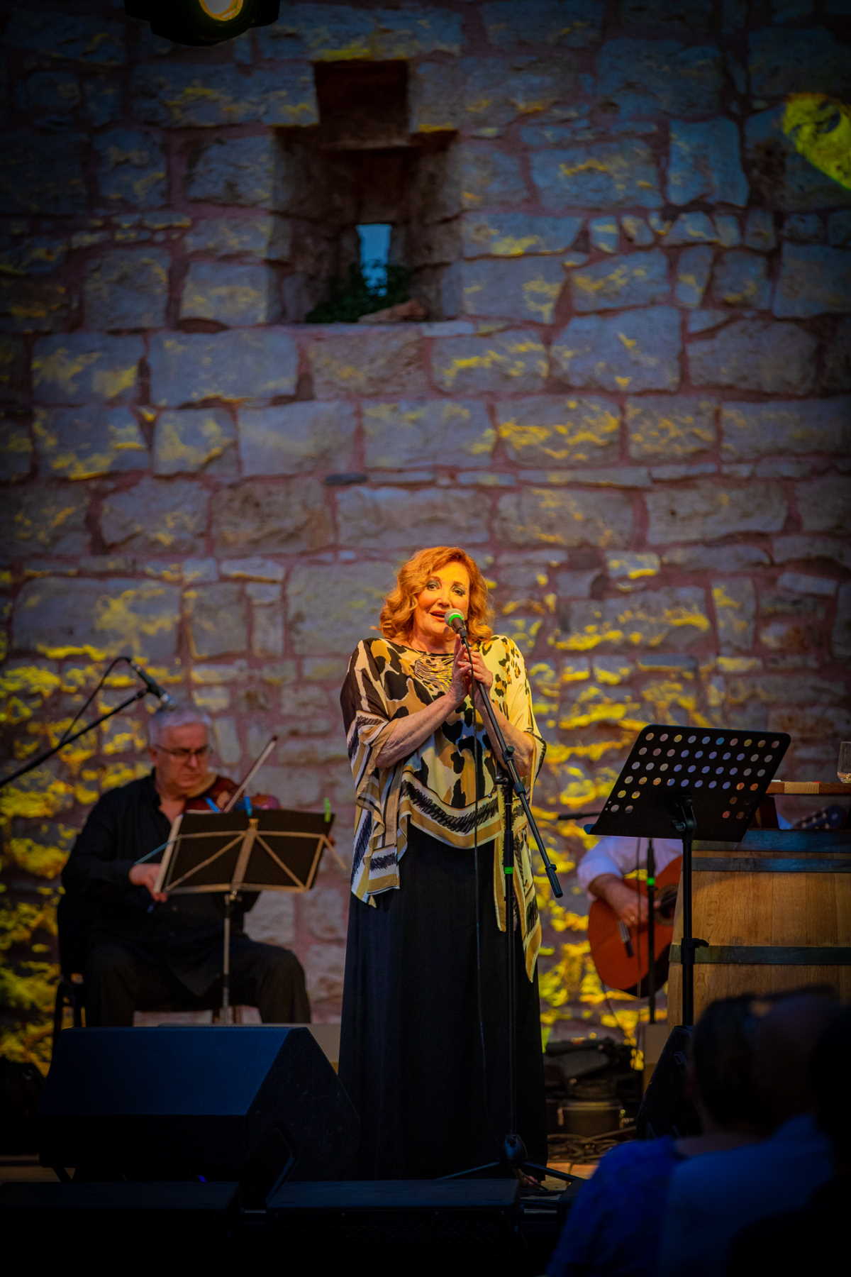 Tereza Kesovija održala koncert u prepunom Morosini Grimani kaštelu!