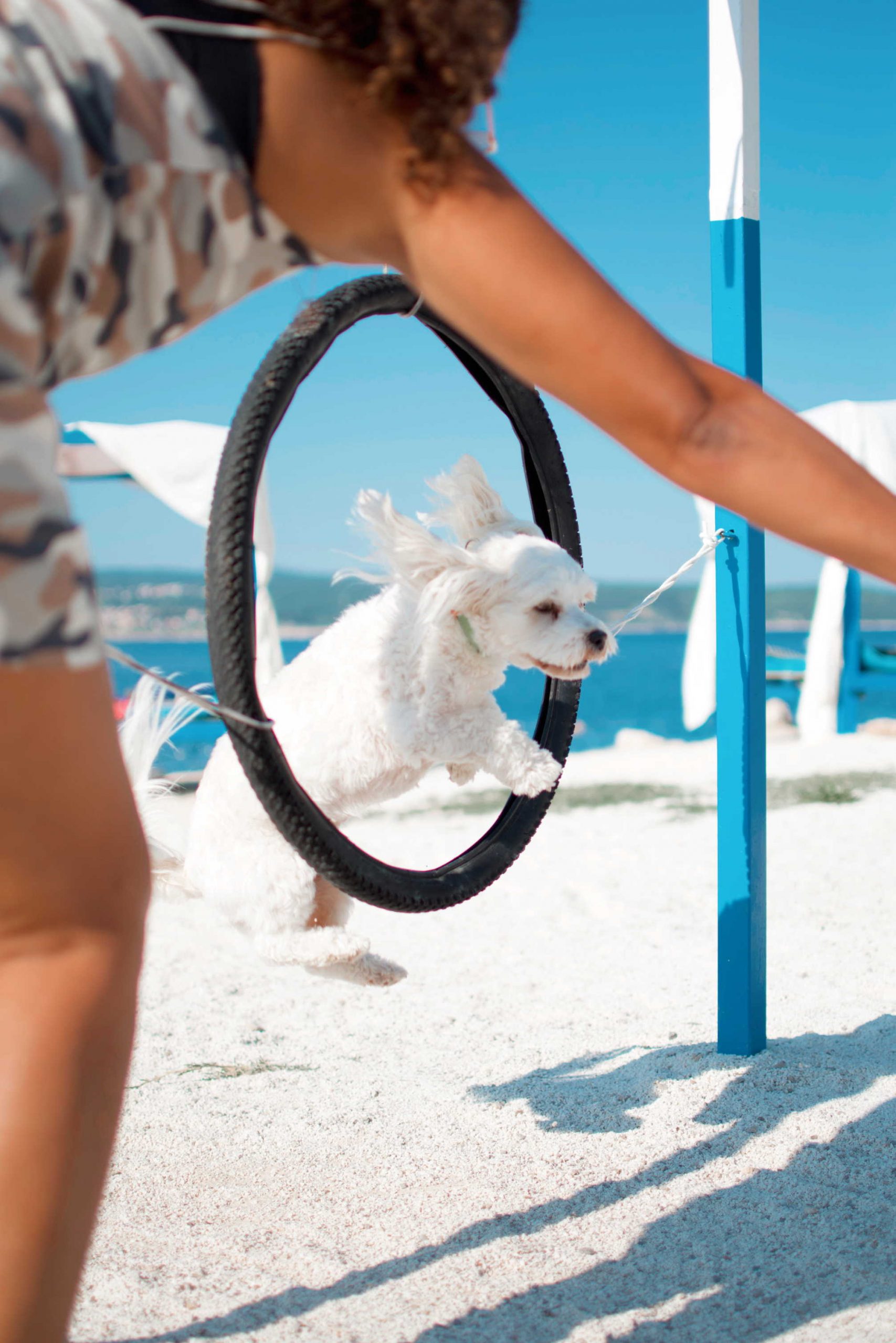 Od Crikvenice do Los Angelesa: Monty’s Dog Beach priprema najuzbudljivije ljeto do sada