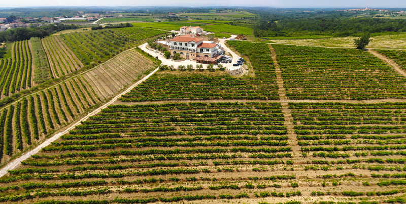 Najljepše vinarije u Istri