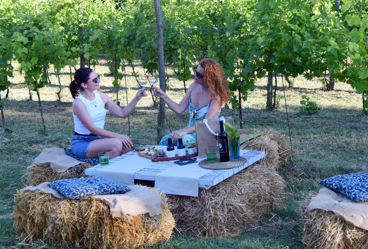 Piknik u vinogradu na imanju Tenuta Tre Terre - doživljaj za sva osjetila