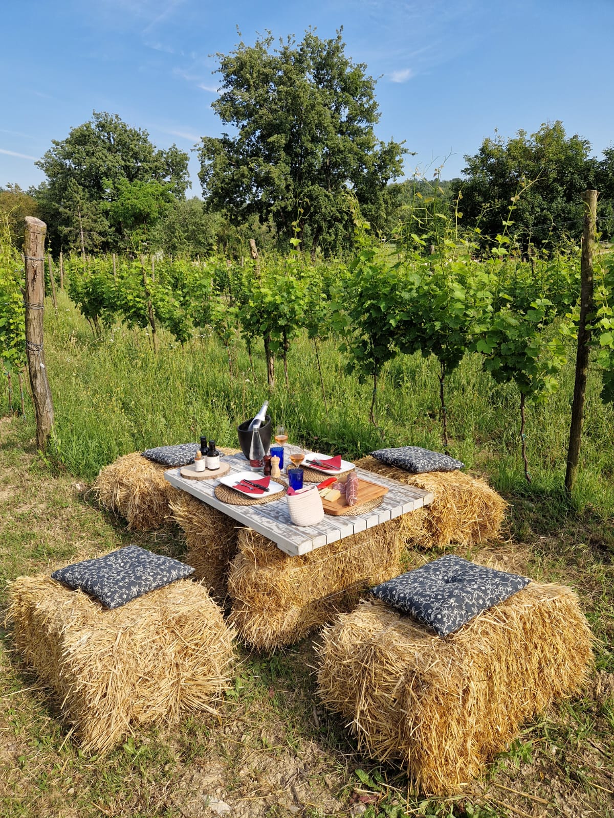 Like dana - Nemojte propustiti piknike u vinogradu na imanju Tenuta Tre Terre