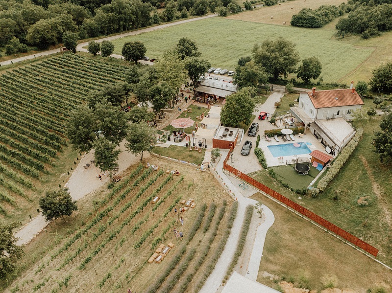 Piknik u vinogradu na imanju Tenuta Tre Terre uz vrhunska Korlat vina