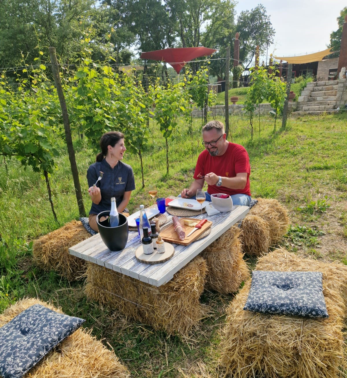 Lady Boss Nina Vičić - "Istra u najboljoj verziji uključuje pogled prema vinogradima, miris lavande, cvrkut ptica i mir"