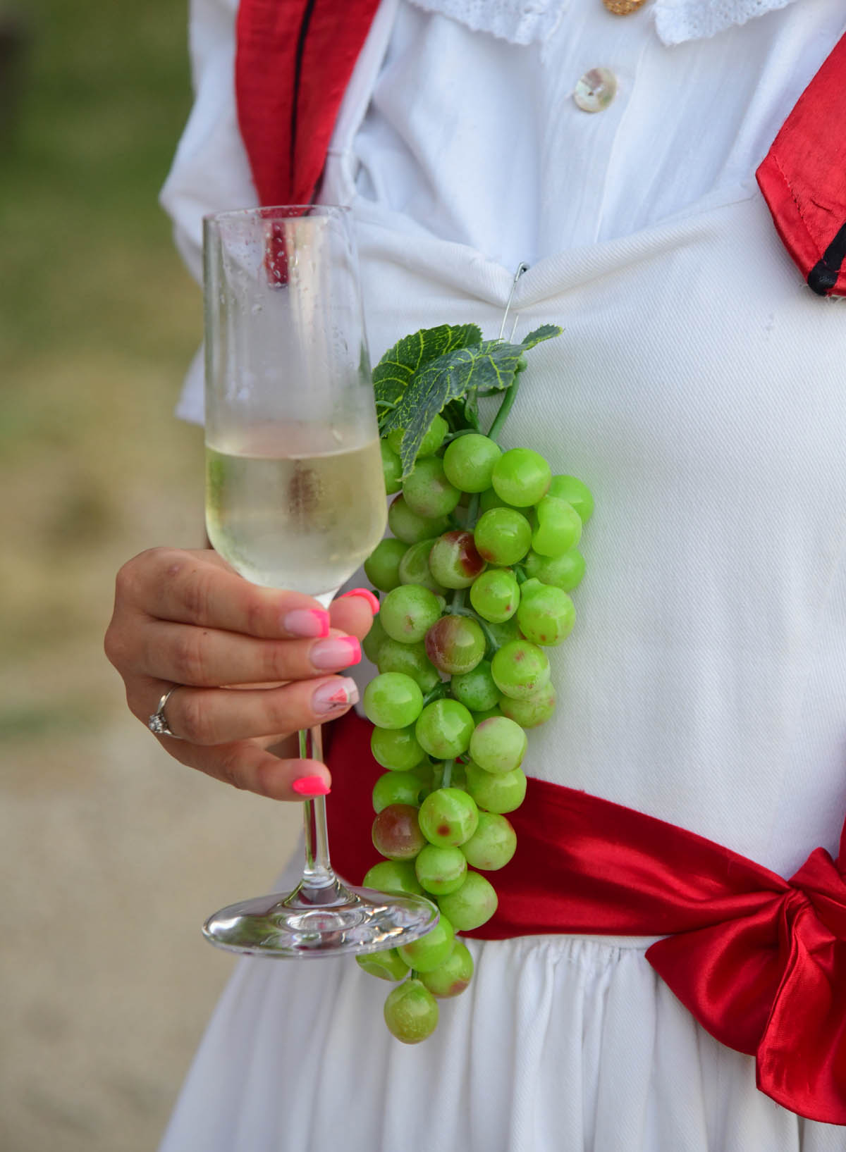 Velika proslava dvadesetog rođendana manifestacije Ružica Vinodola