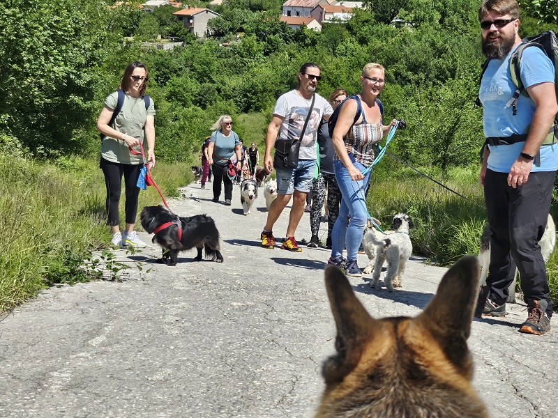 Od šetnje s četveronožnim ljubimcima do upoznavanja Frankopana - rujan u Kraljevici je jako zanimljiv