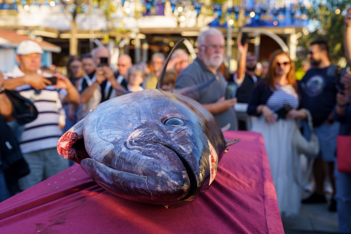 12. MJESEC PLAVE RIBE SE NASTAVLJA! „CRIKVENICA FOOD & WINE WALK“ – šetnja koja iz naslonjača diže i najpasivnije ljude i „THE CHEF GANG“ u „Terraca“ Bar & Restaurant